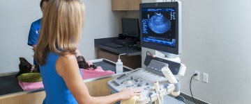Image: Dr. Surdyk performing an abdominal ultrasound.